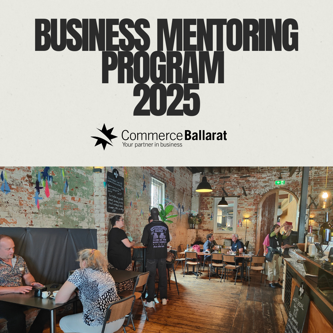 Business Mentoring